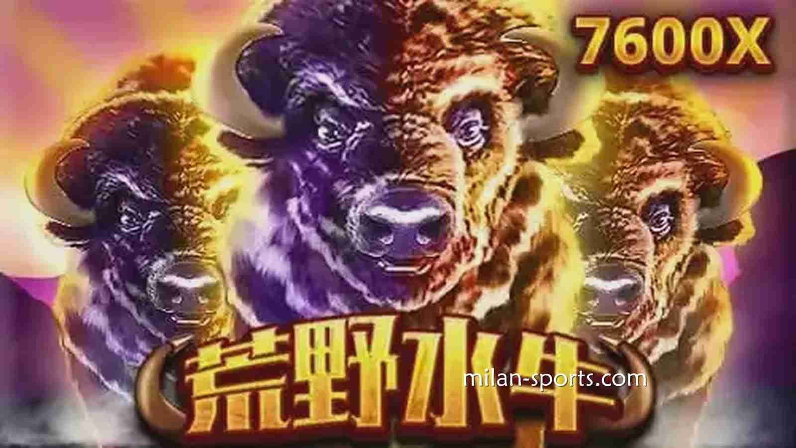 《荒野水牛》游戏,带你体验草原的狂野与激情